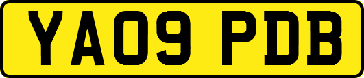 YA09PDB