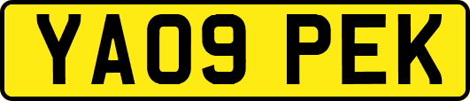 YA09PEK
