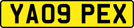 YA09PEX