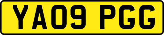 YA09PGG