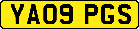 YA09PGS