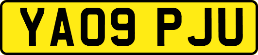 YA09PJU