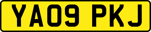 YA09PKJ
