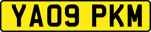 YA09PKM