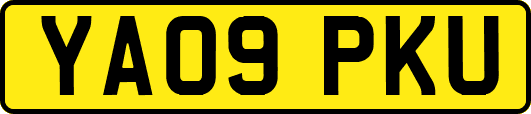 YA09PKU
