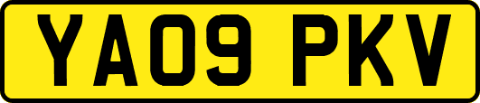 YA09PKV