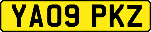 YA09PKZ