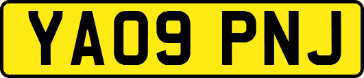 YA09PNJ