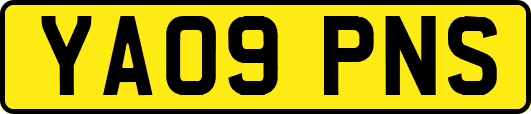 YA09PNS