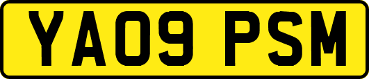 YA09PSM
