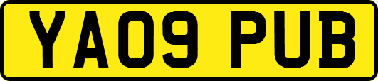 YA09PUB