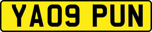 YA09PUN