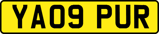 YA09PUR