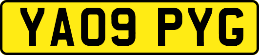 YA09PYG