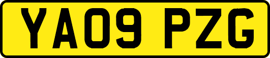 YA09PZG