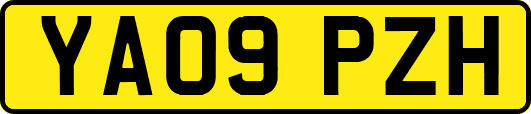 YA09PZH