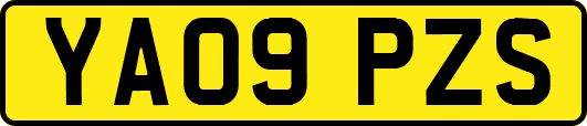 YA09PZS