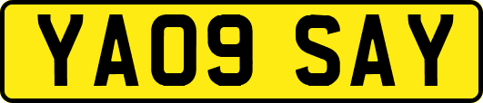 YA09SAY