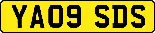 YA09SDS