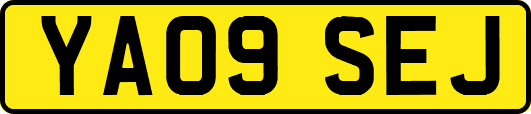 YA09SEJ