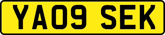 YA09SEK
