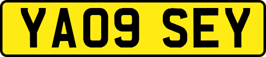 YA09SEY