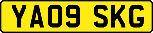 YA09SKG