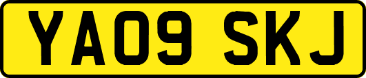 YA09SKJ