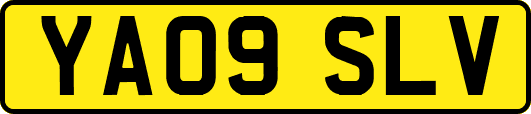 YA09SLV