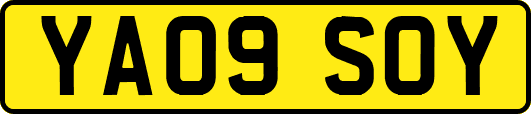 YA09SOY