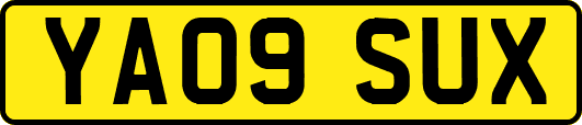 YA09SUX