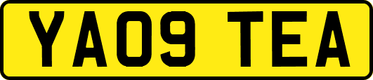 YA09TEA