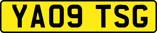 YA09TSG