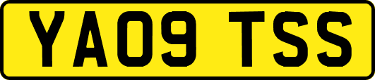 YA09TSS