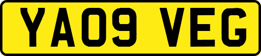 YA09VEG