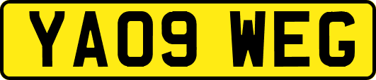 YA09WEG