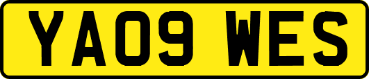 YA09WES