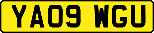 YA09WGU