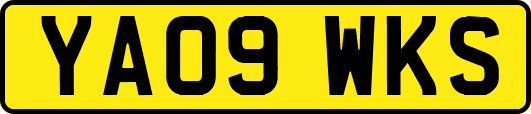 YA09WKS