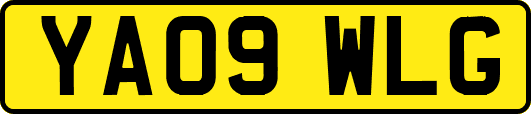 YA09WLG