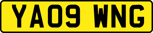 YA09WNG