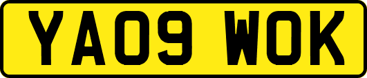 YA09WOK