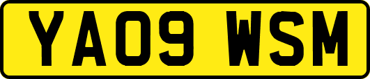 YA09WSM