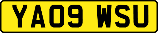 YA09WSU