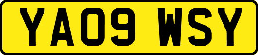 YA09WSY