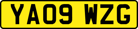 YA09WZG