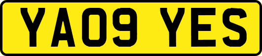 YA09YES