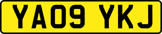 YA09YKJ