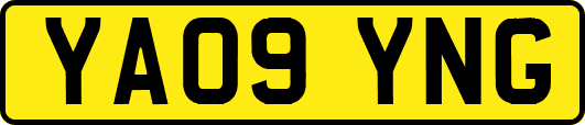 YA09YNG