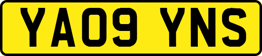 YA09YNS